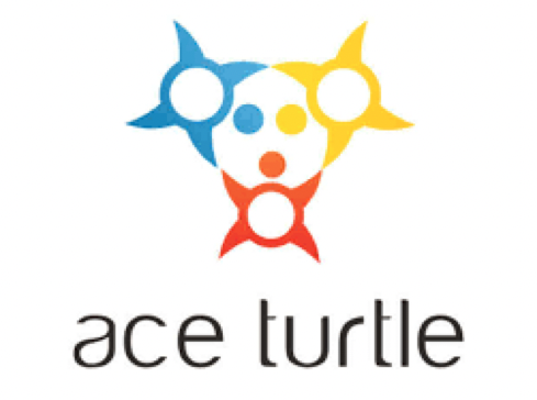 Ace Turtle